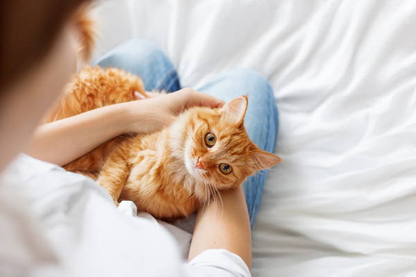 Picture of woman holding cat